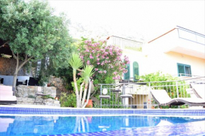 Stylish villa with pool and lounge, Župa